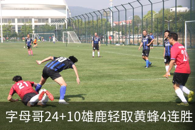 字母哥24+10雄鹿轻取黄蜂4连胜 魔术力克爵士